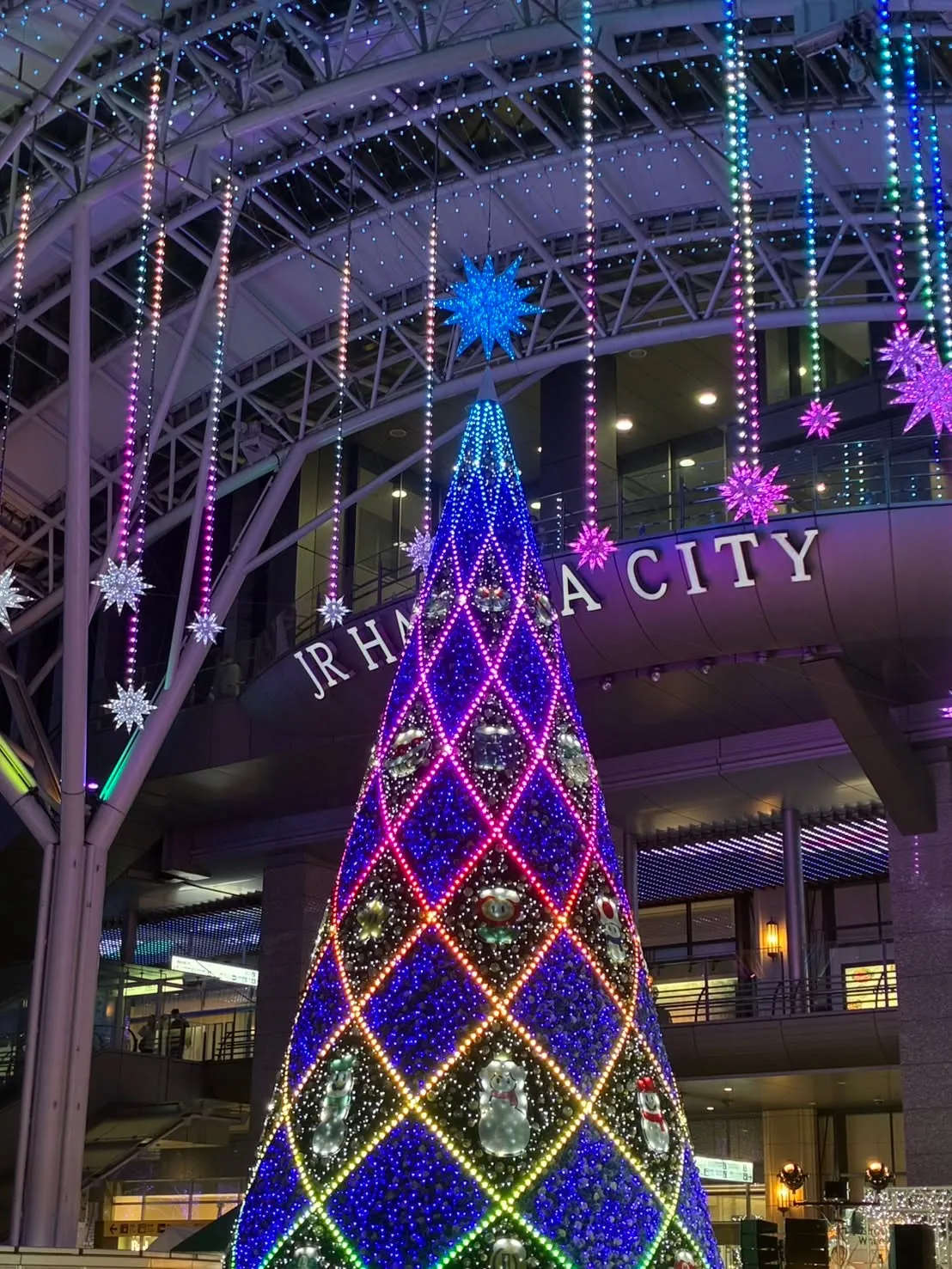 メリークリスマス🎉＆冬期講習1日目