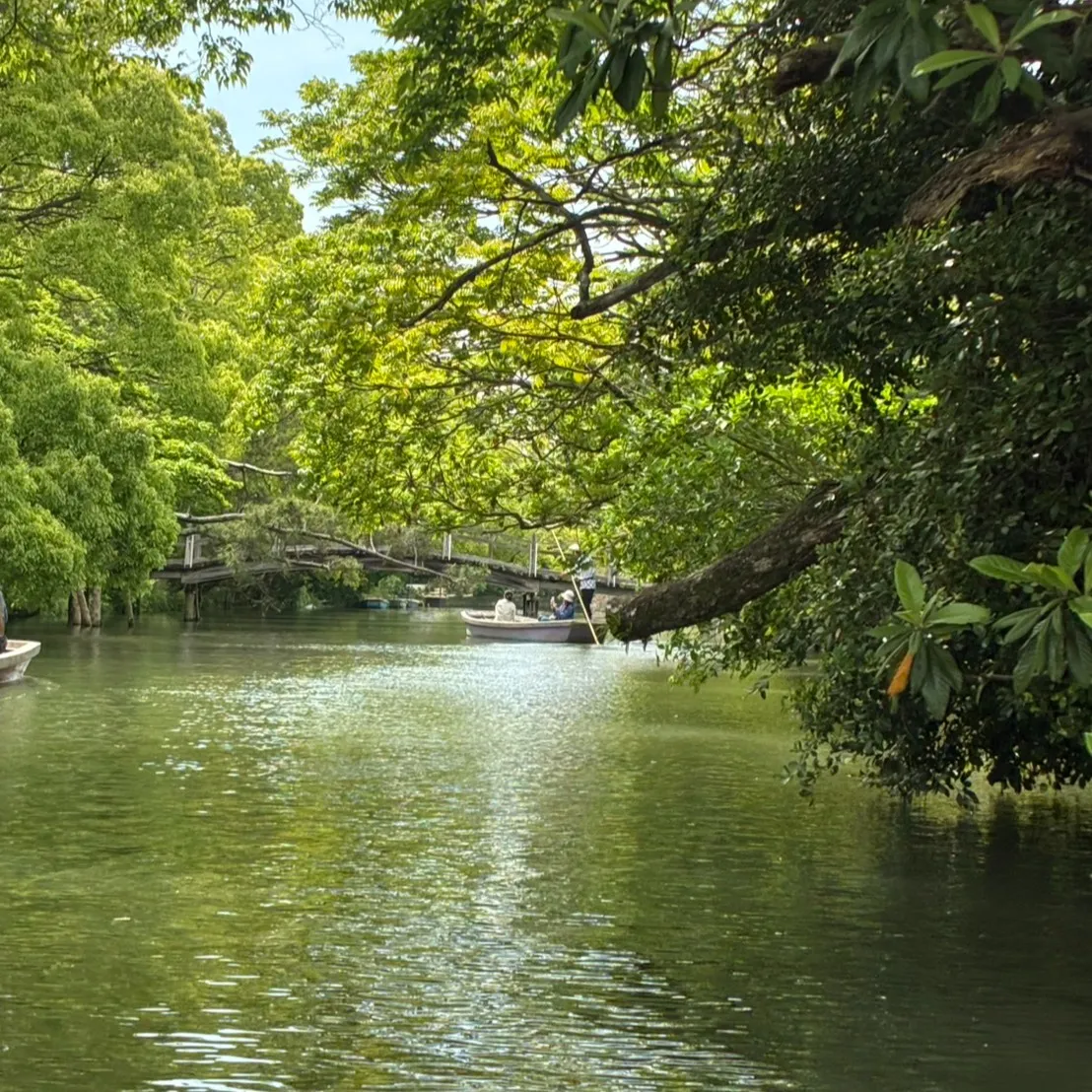 春日西中1年はテスト範囲が配布されました。